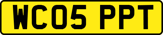 WC05PPT
