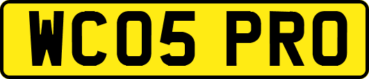 WC05PRO
