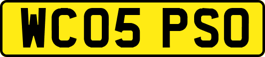 WC05PSO