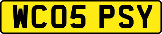 WC05PSY