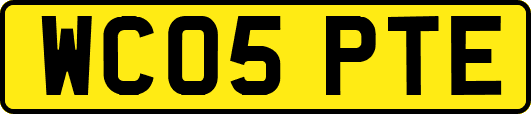 WC05PTE