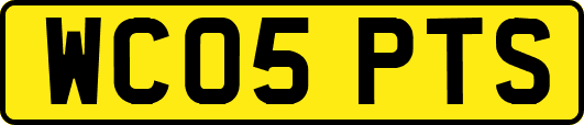 WC05PTS