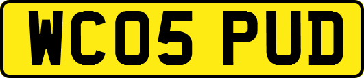 WC05PUD