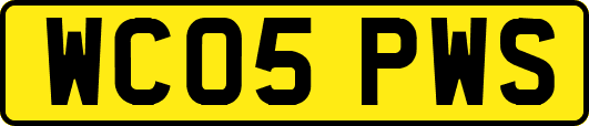 WC05PWS