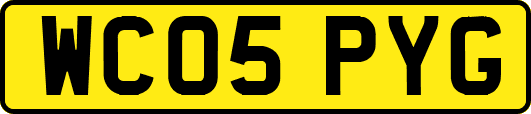 WC05PYG