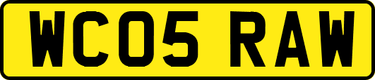 WC05RAW