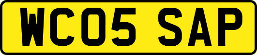 WC05SAP