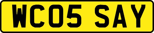 WC05SAY