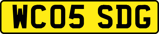 WC05SDG
