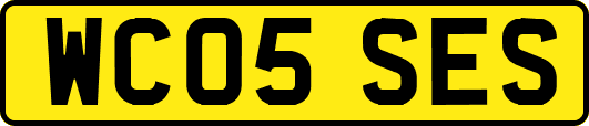 WC05SES