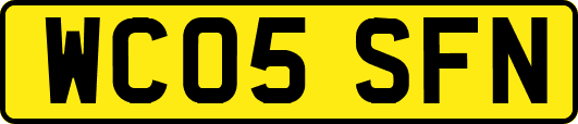 WC05SFN