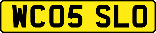 WC05SLO