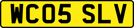 WC05SLV
