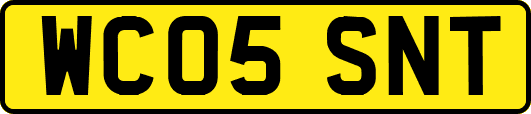 WC05SNT