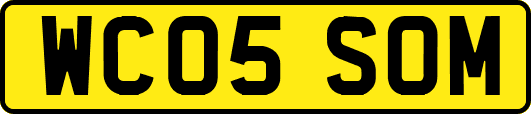 WC05SOM
