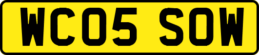 WC05SOW