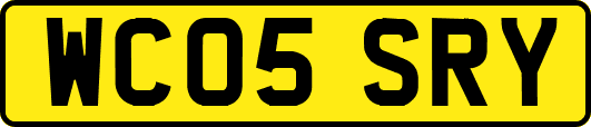 WC05SRY