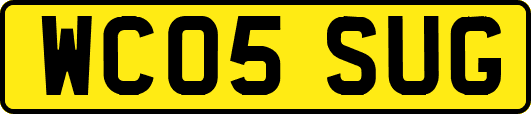 WC05SUG