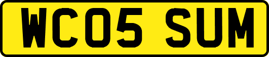 WC05SUM