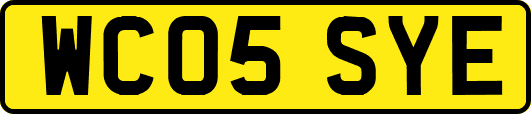 WC05SYE