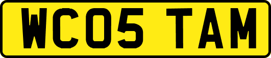 WC05TAM