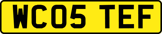 WC05TEF