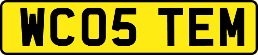 WC05TEM