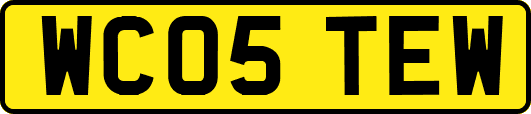 WC05TEW