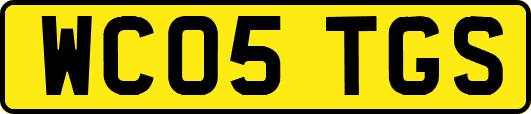 WC05TGS