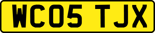 WC05TJX