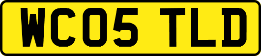 WC05TLD