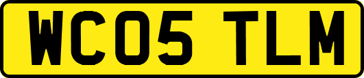 WC05TLM