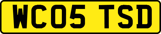 WC05TSD