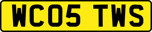 WC05TWS