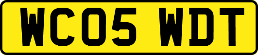 WC05WDT