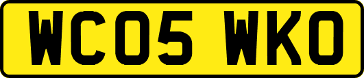 WC05WKO