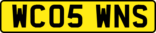 WC05WNS