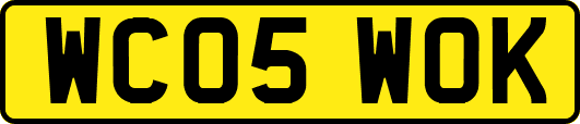WC05WOK