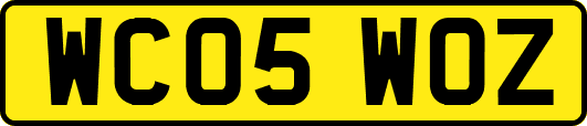 WC05WOZ