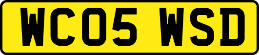 WC05WSD