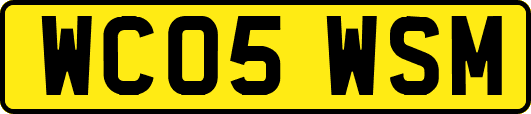 WC05WSM