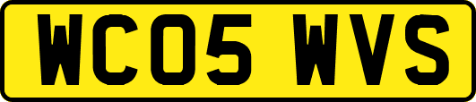 WC05WVS