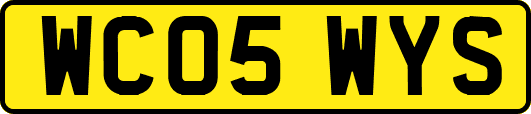 WC05WYS
