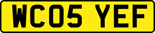 WC05YEF