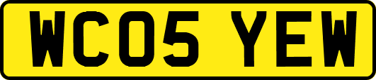 WC05YEW