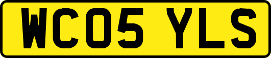 WC05YLS