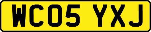 WC05YXJ