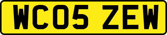 WC05ZEW