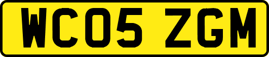 WC05ZGM
