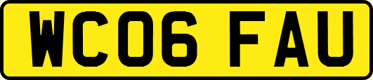 WC06FAU